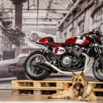 xjr1300_yardbuilt2015_051